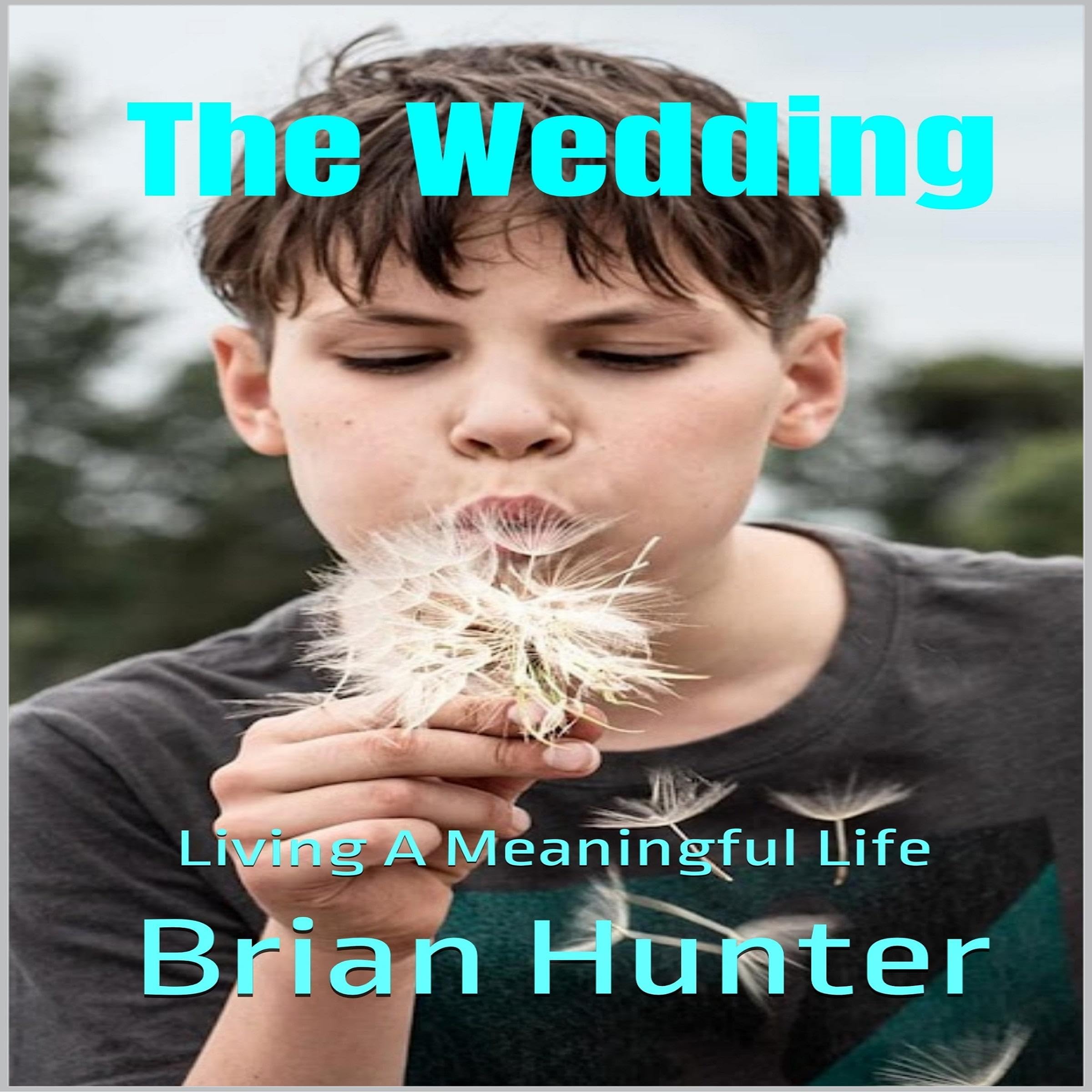 Cover art for The Wedding