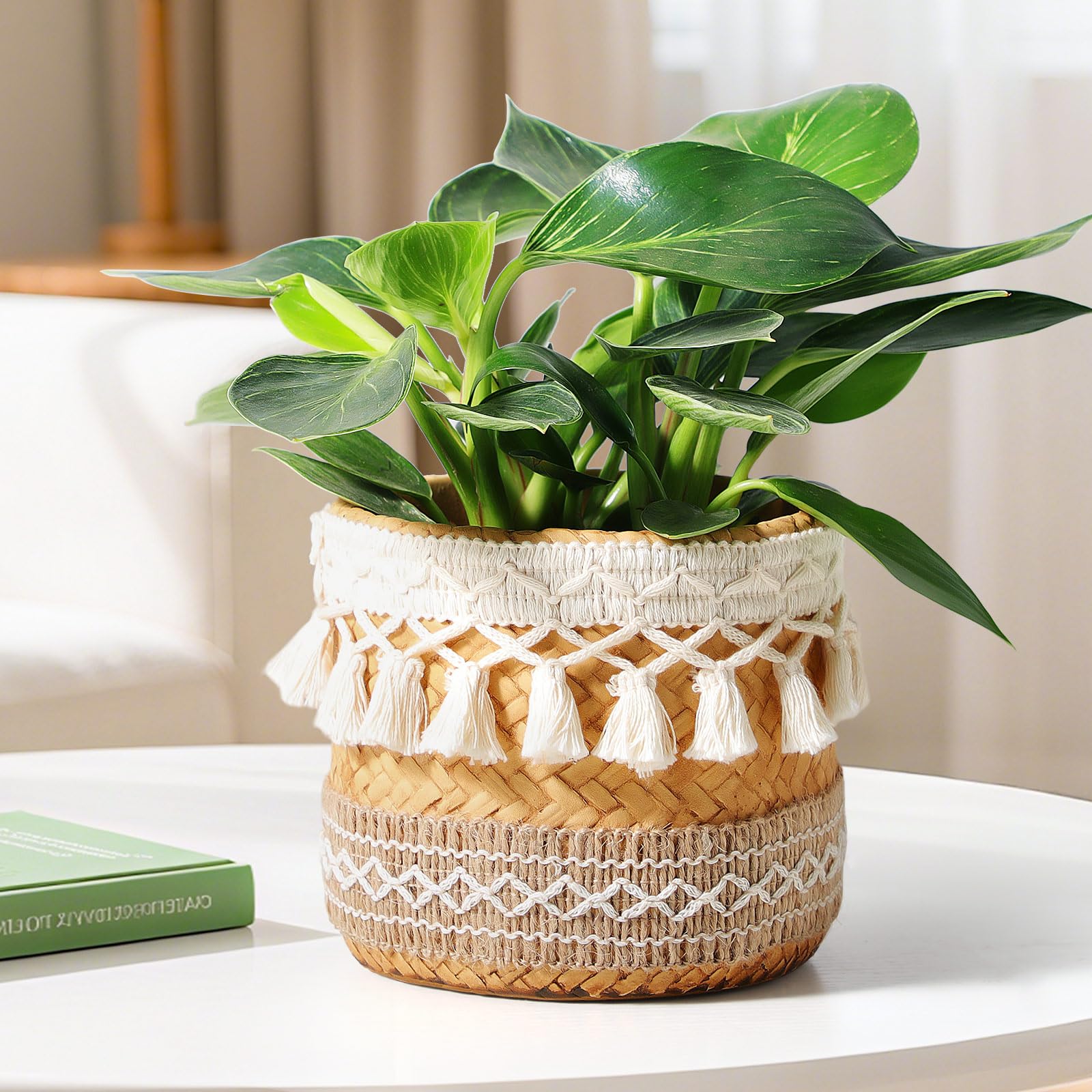 vomiceak Concrete Rattan-Style Planter
