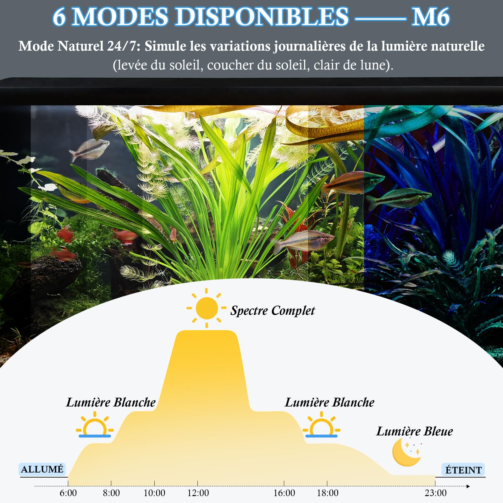 Rampe LED Aquarium 58cm, Éclairage RGBW Spectre Complet IP68 Étanche, Minuterie & Régulation de Luminosité, Ajustement de Couleur 24/7