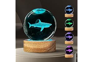 3D Shark Crystal Ball Night Light with 16 Color, Cool 60mm