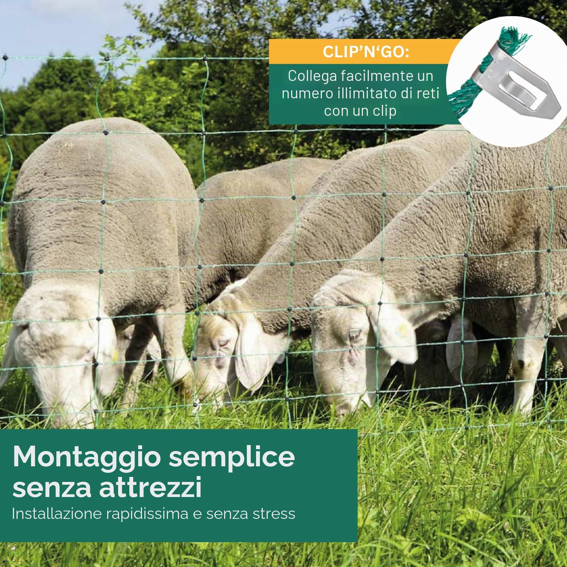 Agrarzone Rete per pecore elettrificabile Classic 50 m x 108 cm - Robusta e sicura con doppia punta - Ideale per pecore, capre, agnelli e pollame - Include pali e accessori