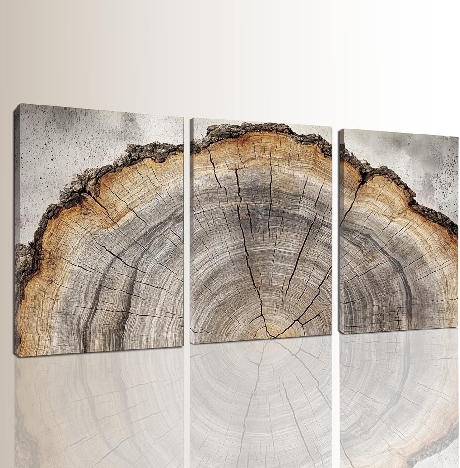 sawjug Tree Ring Wall Art, Tree Ring Canvas Wall Art, Neutral Wall Decor, Living Room, Office, Bedroom Wall Decor (16" x 24" x 3 pcs)