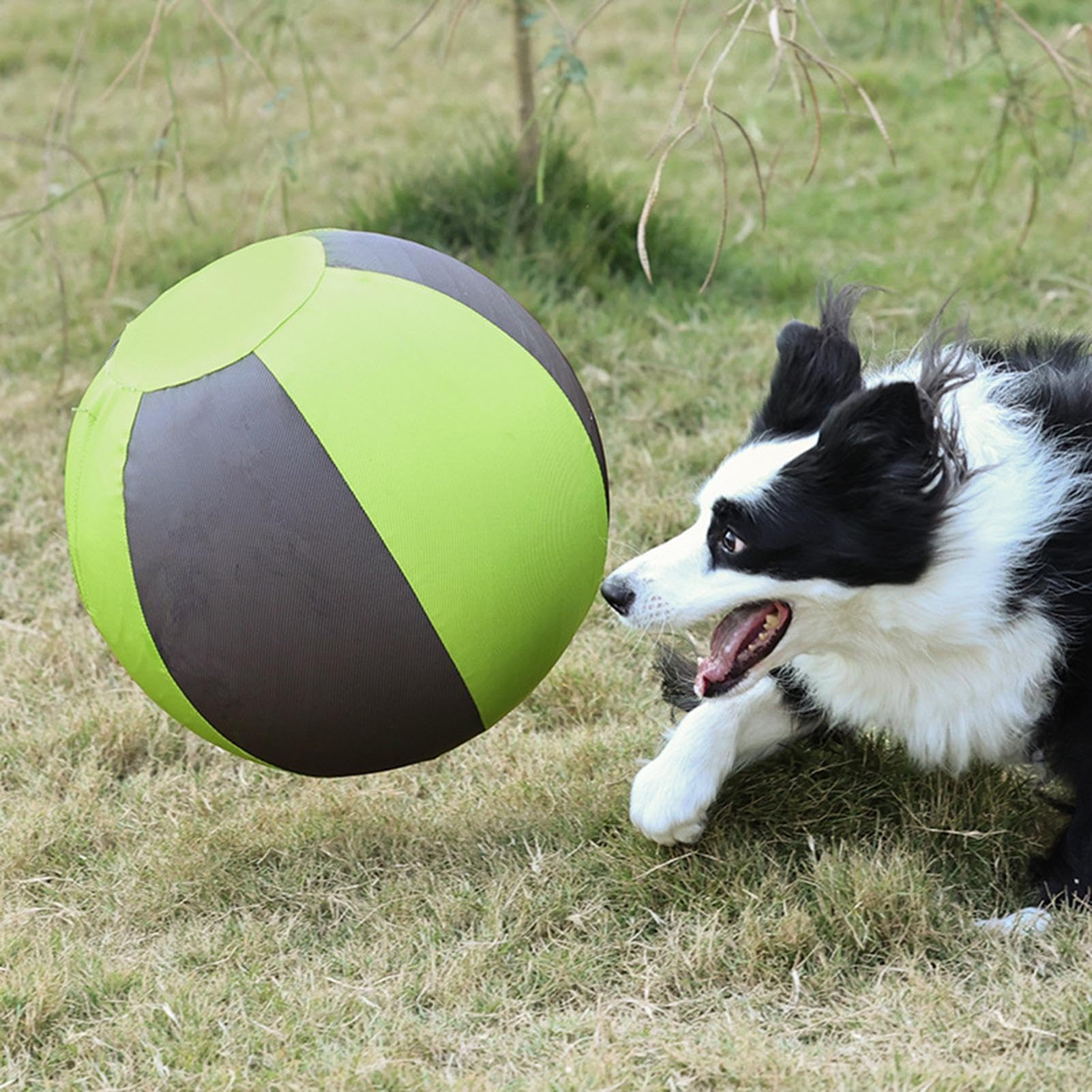 Balle De Troupeau Chien Entraînement Gonflable Pour Chiot