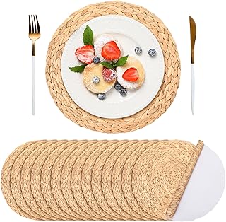 Sinmoe 100 Pack Disposable Paper Placemats Bulk 13 Inch Paper Placemats Disposable Charger Plates Table Place Mats for Dinner Wedding Birthday Summer Spring Party Dinner Tableware