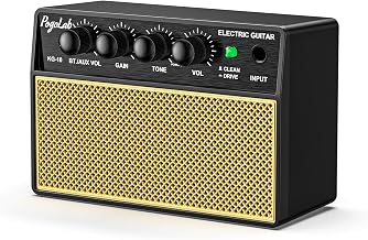 POGOLAB 5W Guitar Combo Amplifier, Portable Mini Amplifier with Two Channels, Rechargeable Bluetooth Wireless for Workouts