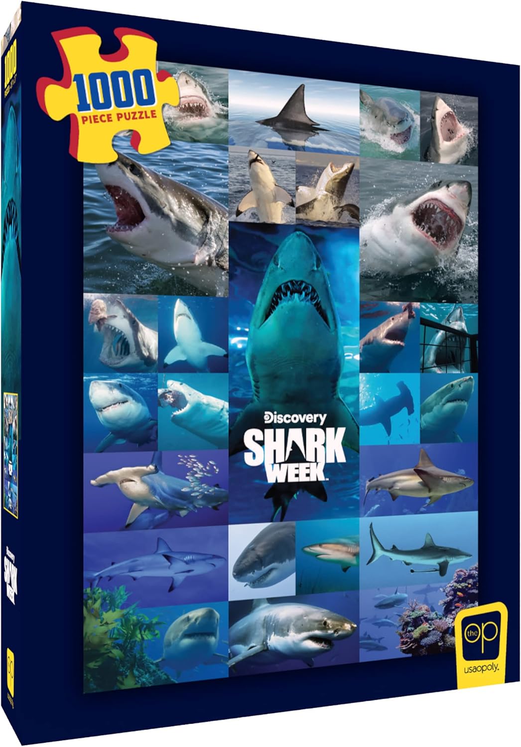 Shark Week “Shiver of Sharks” 1000 Piece Jigsaw Puzzle | Collectible Puzzle Artwork Featuring Great White Shark | Officially-Licensed Discovery Channel Shark Week Puzzle & Merchandise