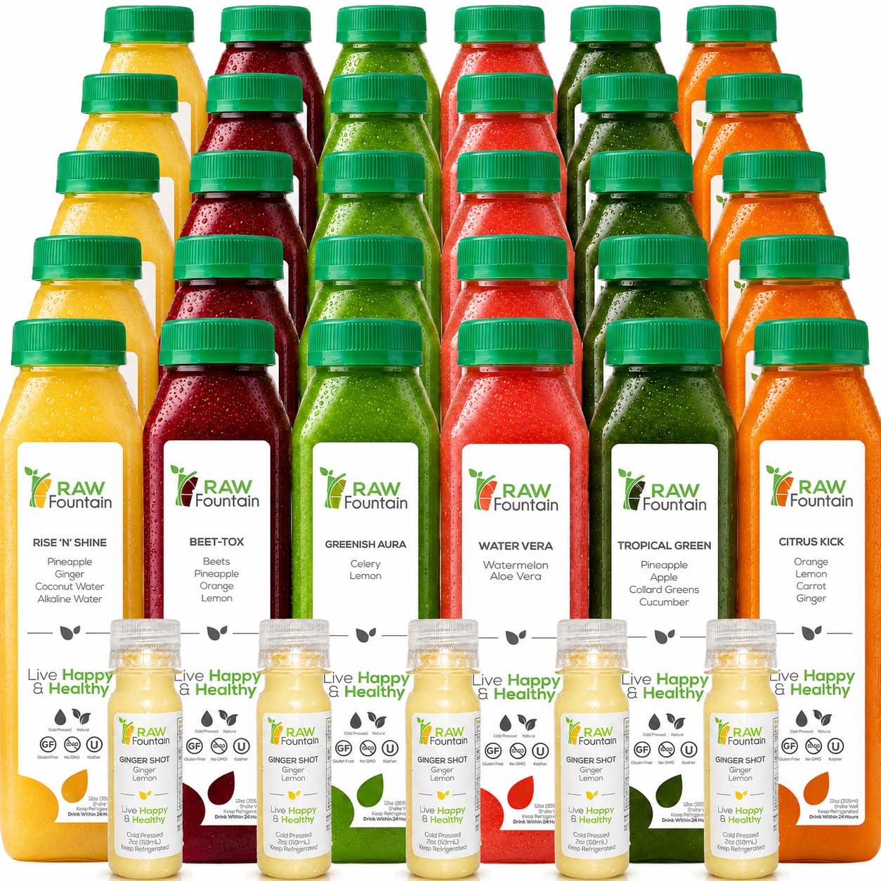 5 Day Juice Cleanse by Raw Fountain