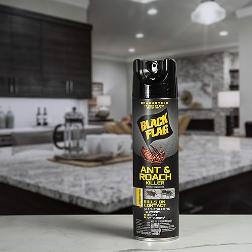 Miniatura 7 de Black Flag Ant & Roach Killer Aerosol, sin perfume, 17.5 onzas, paquete de 12
