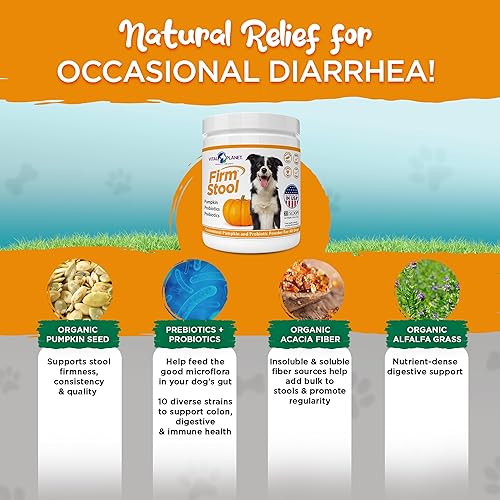 Miniatura 5 de Vital Planet - Heces firmes - Endurecedor de heces para perros, elimina la diarrea y los gases - Calabaza, probióticos y prebióticos para una