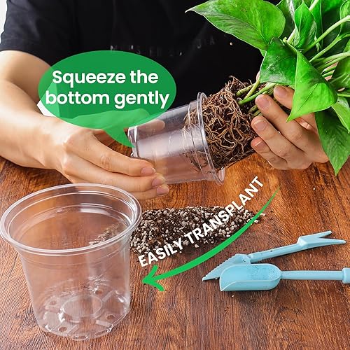 Miniatura 5 de 36 paquetes de macetas de vivero reforzadas transparentes de 6.7543.5 pulgadas con orificio de drenaje, paquete de variedad transparente de macetas