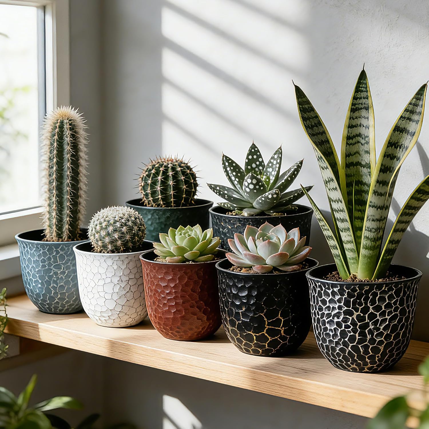 Worth Garden Plastic Round 8 Inch Planters for Indoor Plants Set of 6 Outdoor Resin Flower Pots Colorful with Drainage Hole Rubber Plug Retro Appearance Home Christmas Decorative Containers Multicolor