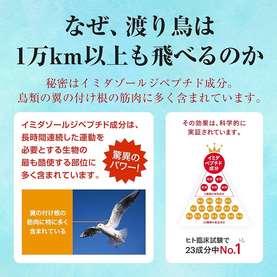 日本予防医薬　イミダペプチド➕コエンザイムQ10 ドリンク70本 Amazon | 【公式店販売】 イミダペプチドQ10 パイナップル風味