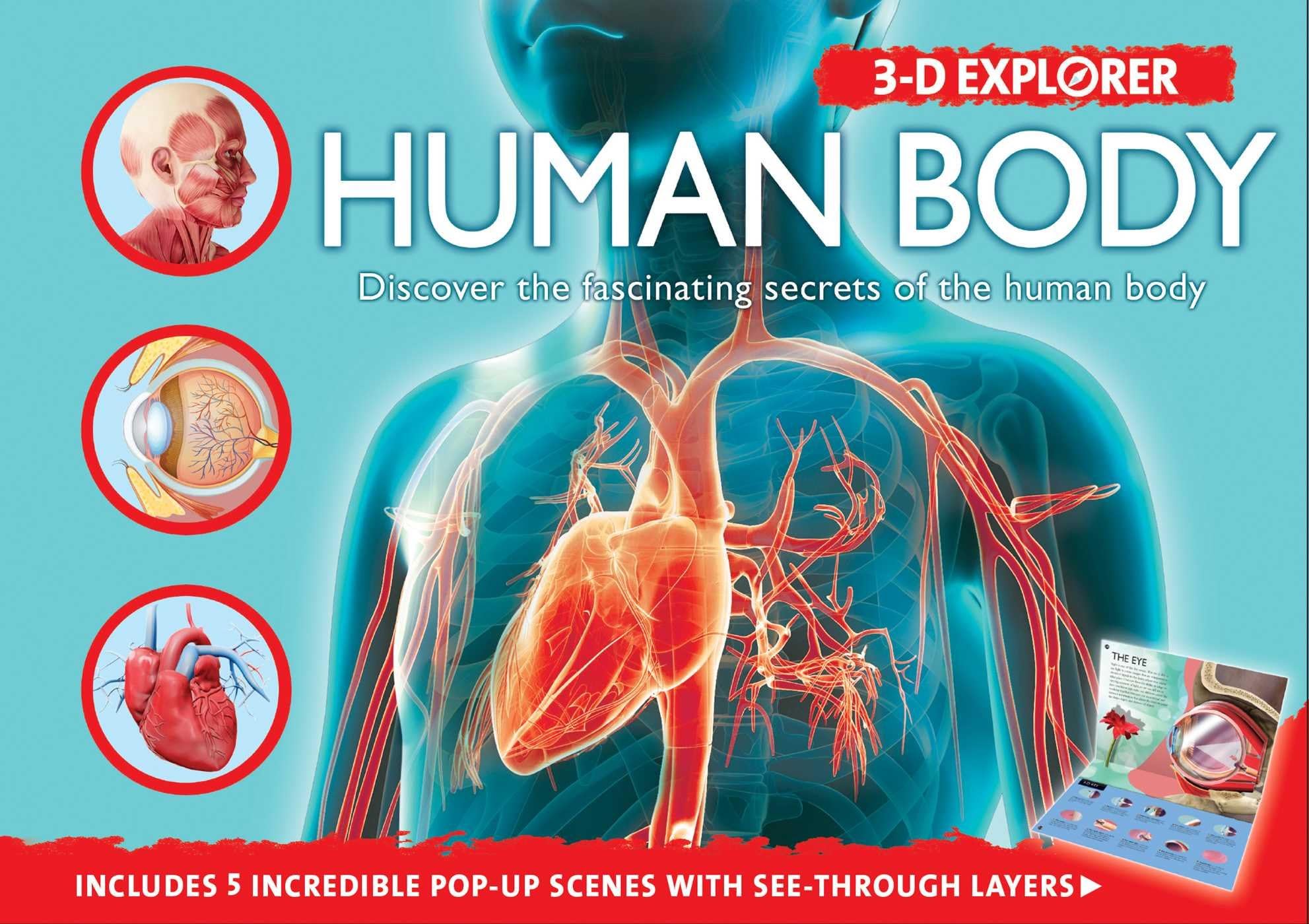 3-D Explorer: Human Body Paperback – Pop up, August 4, 2015