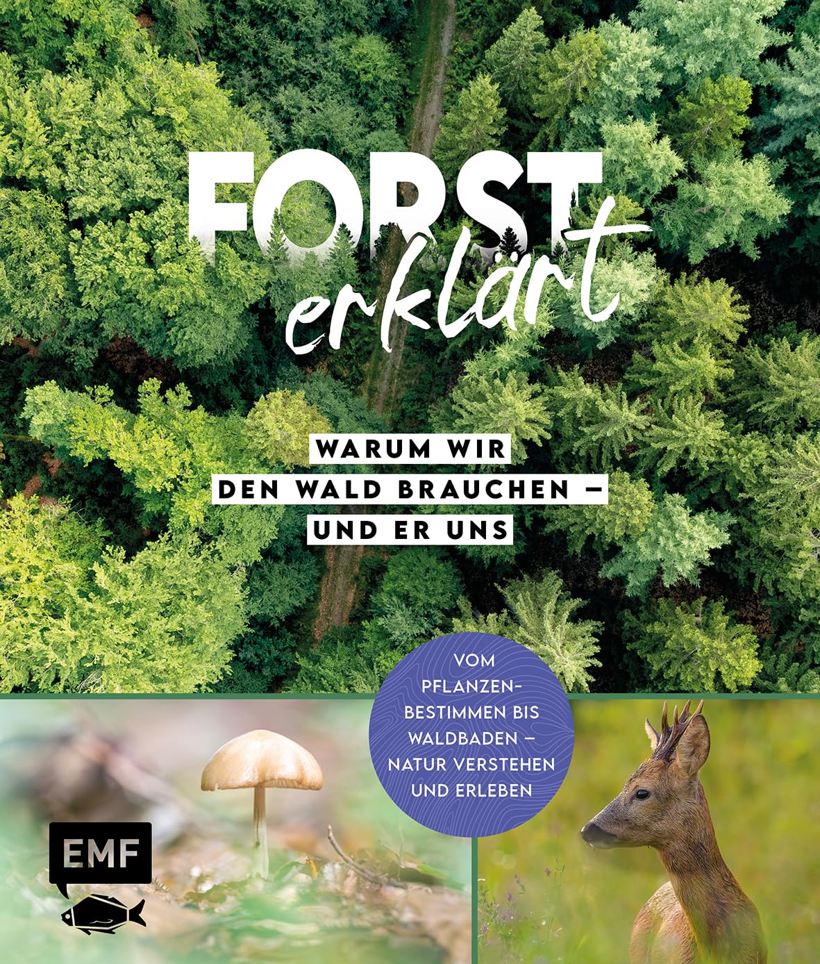 Forst erklärt: Warum wir den Wald brauchen – und er uns: Natur verstehen und erleben: vom Pflanzenbestimmen bis Waldbaden | Mit vielen Porträts zur Bestimmung von Bäumen, Pflanzen, Tieren