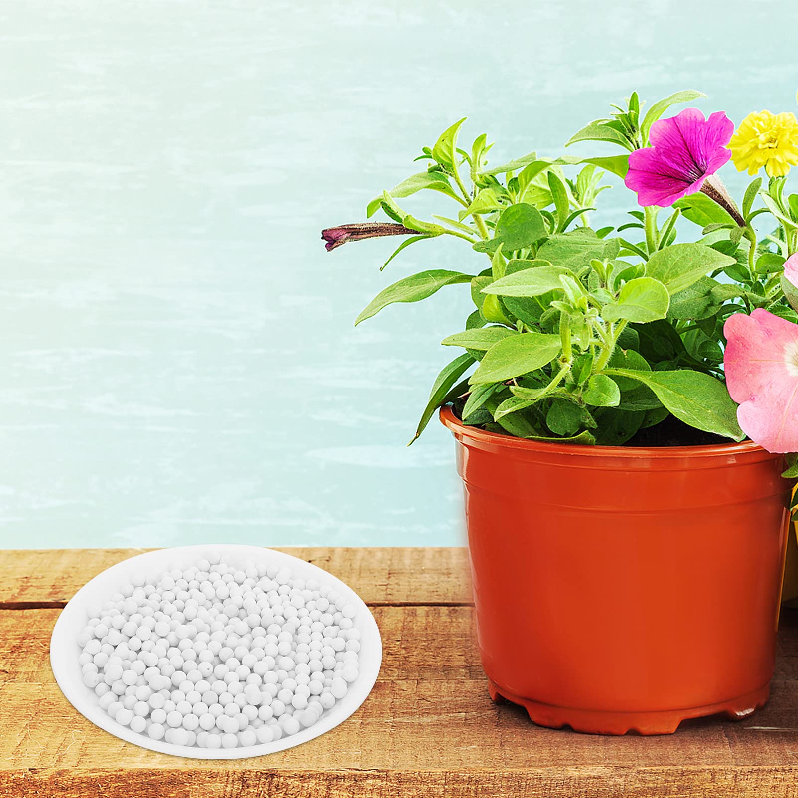 Hemobllo 2sacs Terreau pour Fleurs Et Ceramsite pour Pots De Fleurs Jardinage Orchidées avec Drainante pour Développement Racines Simple Et Délicat