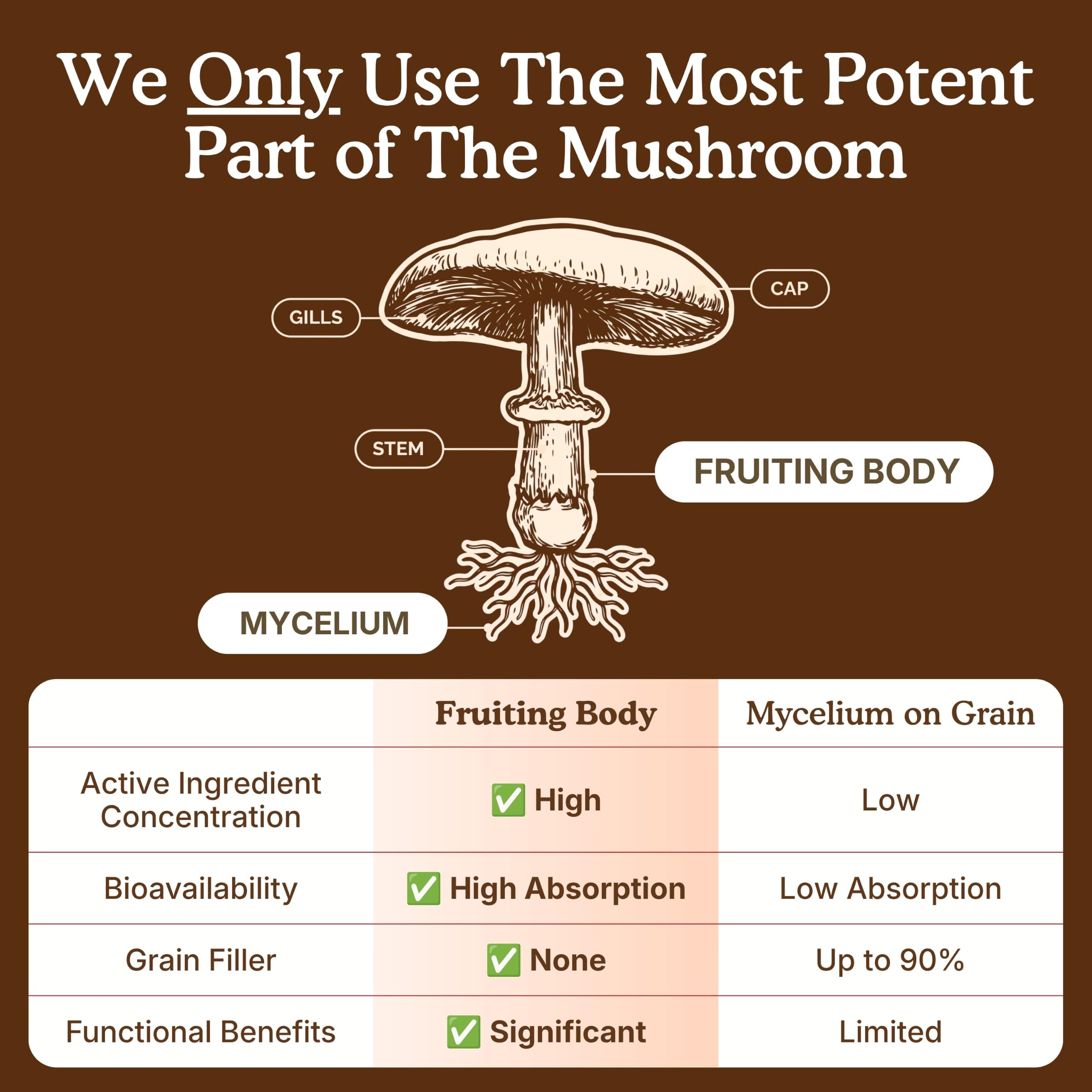 USDA Organic 10 Mushroom Supplement Powder, 14,000mg High Potency - 60gr — Amazon image 9