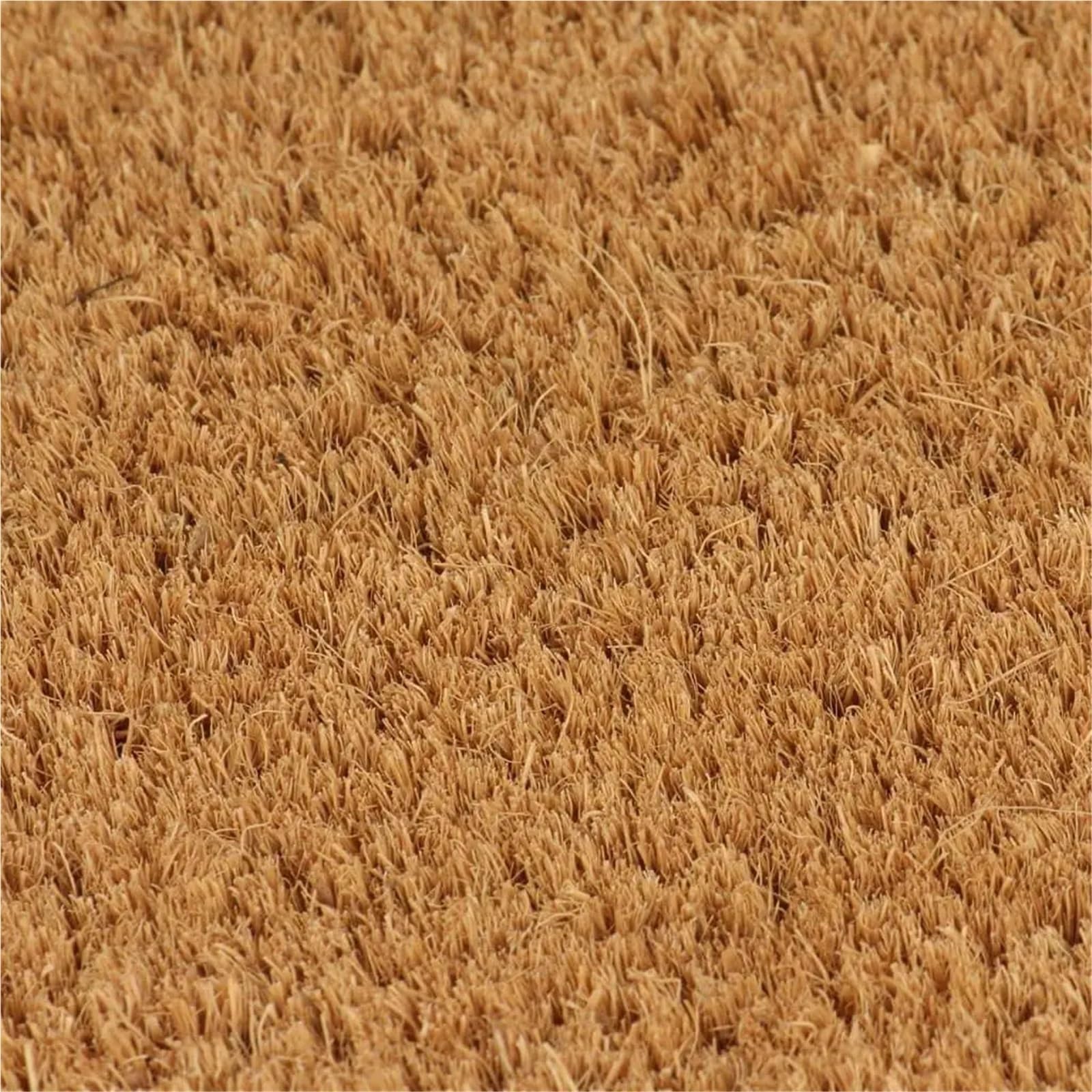 Tapis Fibre Coco Lot de 2 paillassons touffetés en Fibre Coco 40 x 60 cm - Tapis d'intérieur/extérieur durables