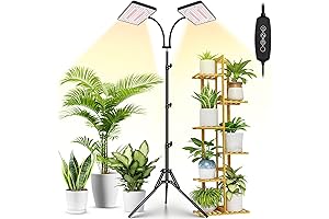 2024 LBW: Indoor Plant Illumination with the Power of Full Spectrum
