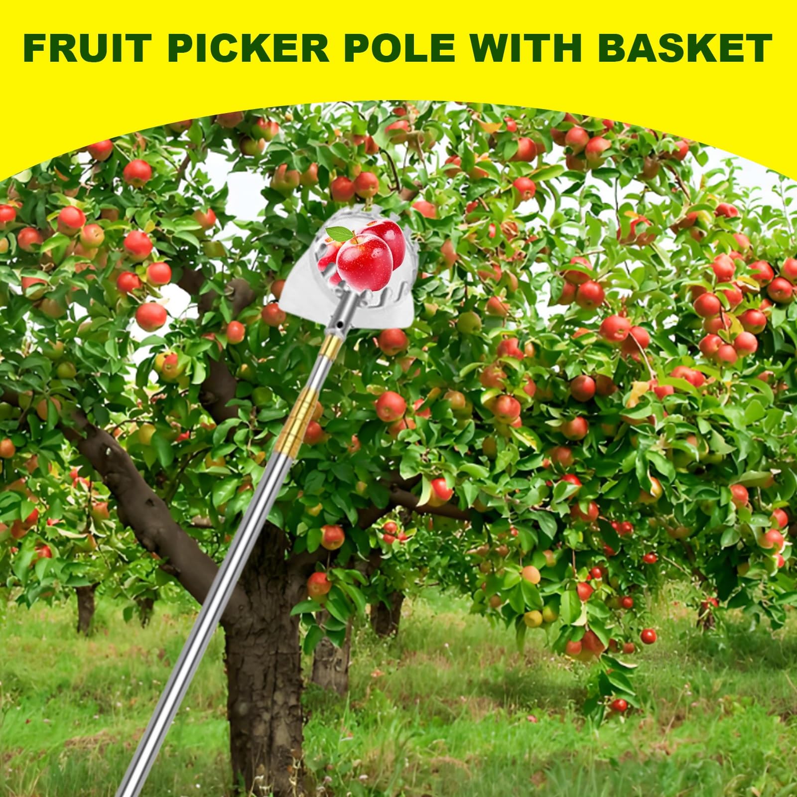 raccoglifrutta, Raccoglitore di fichi con Borsa in Tessuto, Cesto for la Raccolta Frutta for pere, Limoni, Arance, Albicocche, Lime, Acciaio Inossidabile(2.5m)