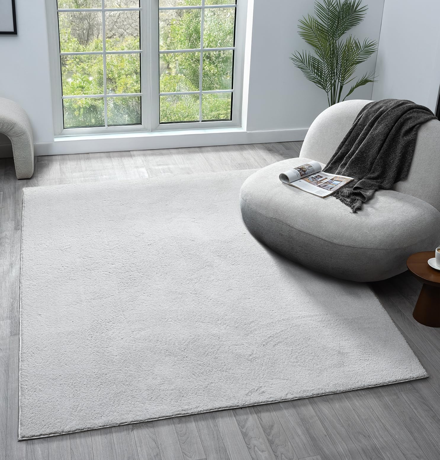 Comfy Washable Modern Living Room Rug Polyester Plain Indoor Area Rug with Low Pile - Anti-Slip Felt Backing SuperSoft Carpet Bedroom-Hallway, Silver, 80x120 cm