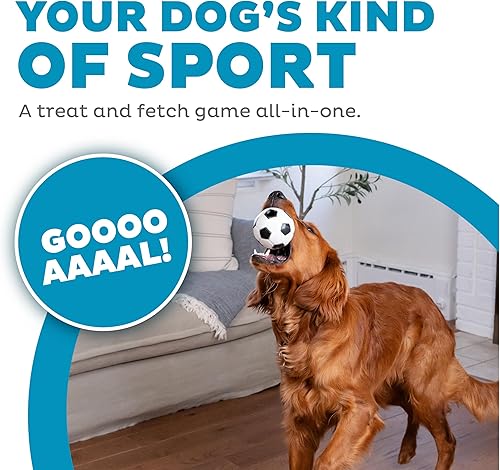 Miniatura 3 de Planet Dog Orbee-Tuff - Balón de fútbol