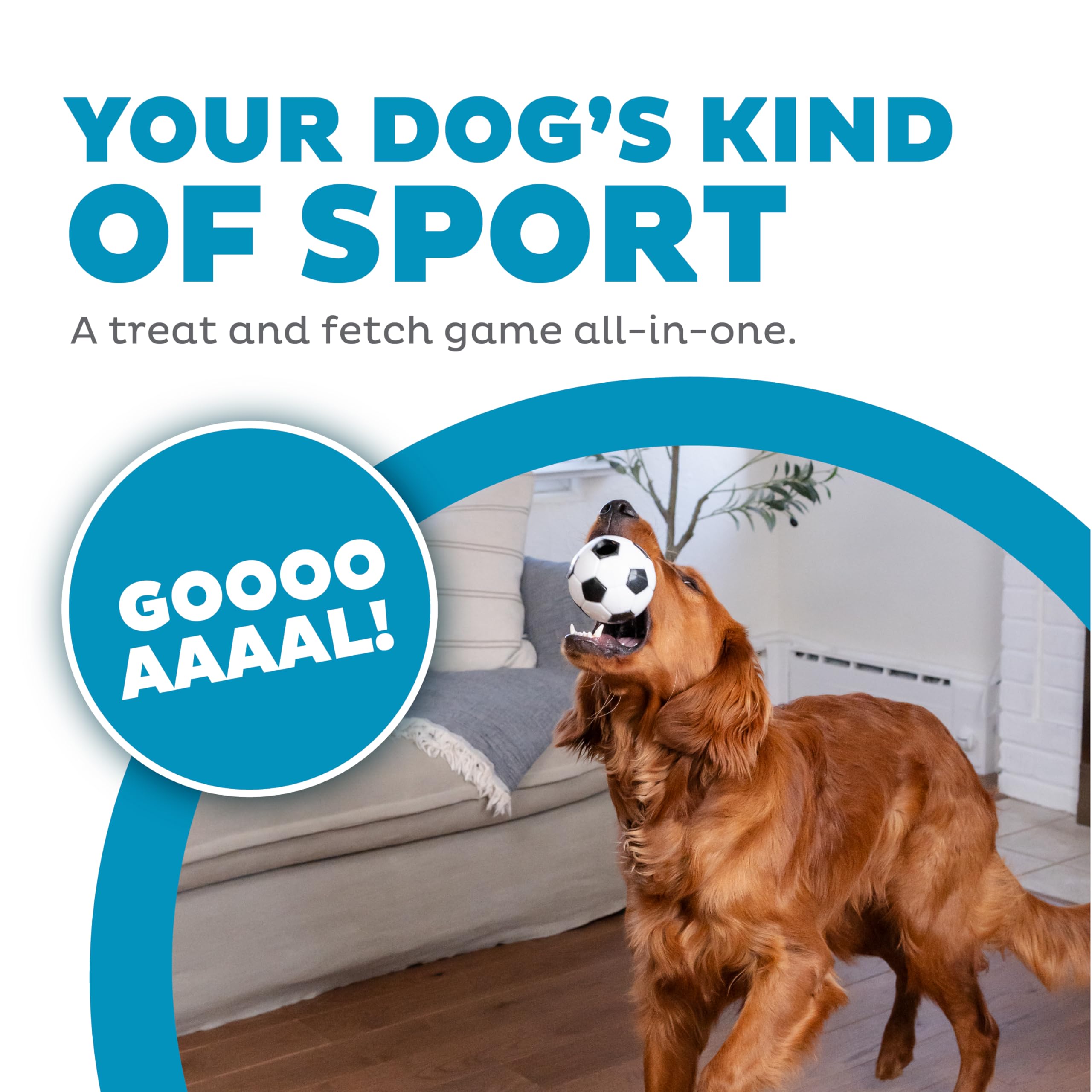 Amazon.com: Outward Hound by Planet Dog Sport Ballz Soccer Ball 
