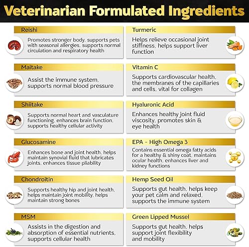 Vista 6 de Soft Chews Hip and Joint Supplement for Dogs - Dog Joint Pain Relief Treats - Glucosamine, Chondroitin, Turmeric- Mobility Bites Supplement