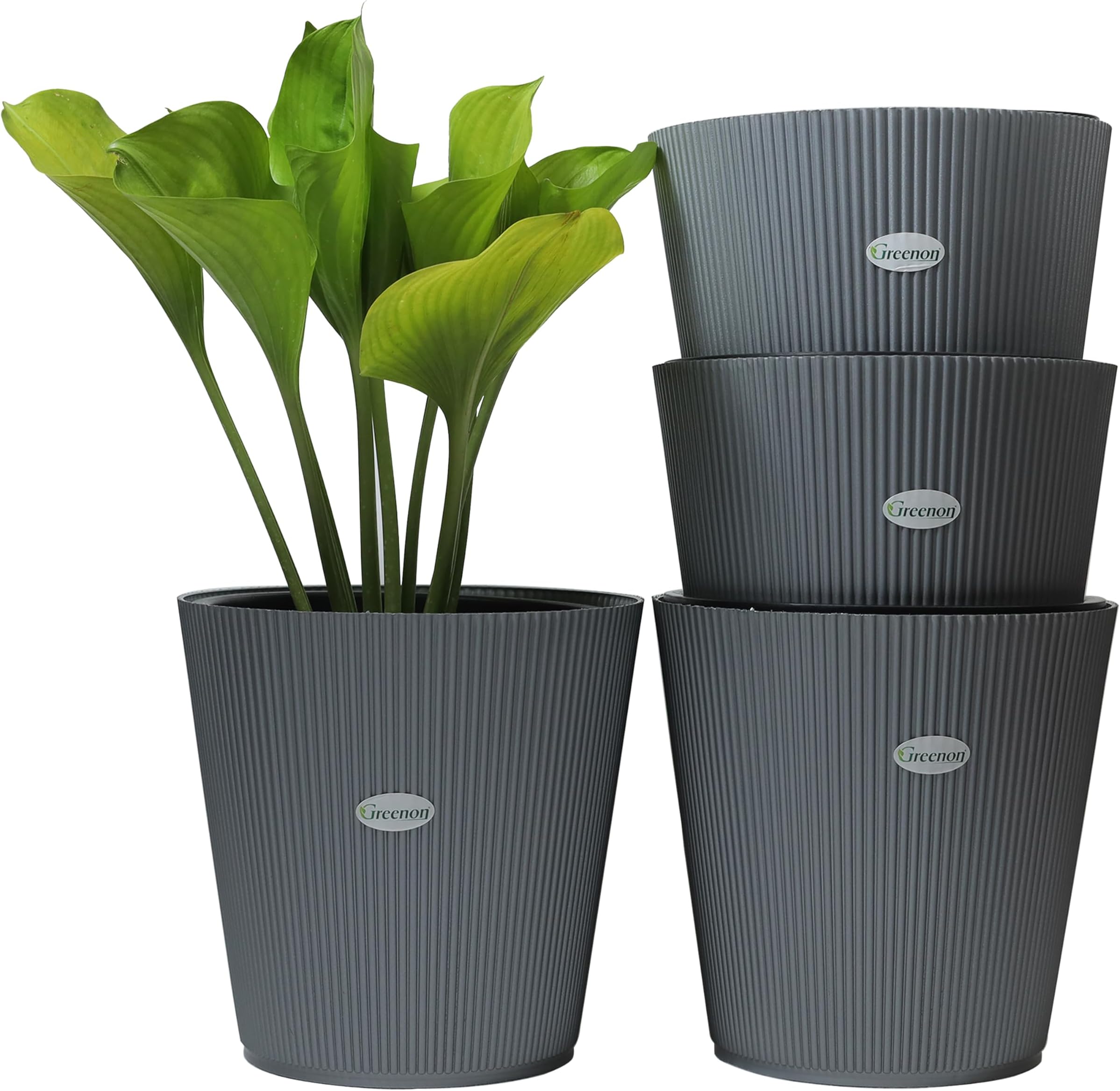 GREENON® 10 Inch Plant Pot Pack of 4 (8 Pots) Self Water | Grey Outer and Black Inner Plant Container | UnFadable Planter | Virgin Plastic Gamla | Best for Indoor and Balcony