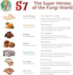 Super 7 mushroom extract powder - Fantastic Fungi® - Lion's Mane, Reishi, Turkey Tail, Cordyceps, Shiitake, Chaga and Maitake (36 Grams)