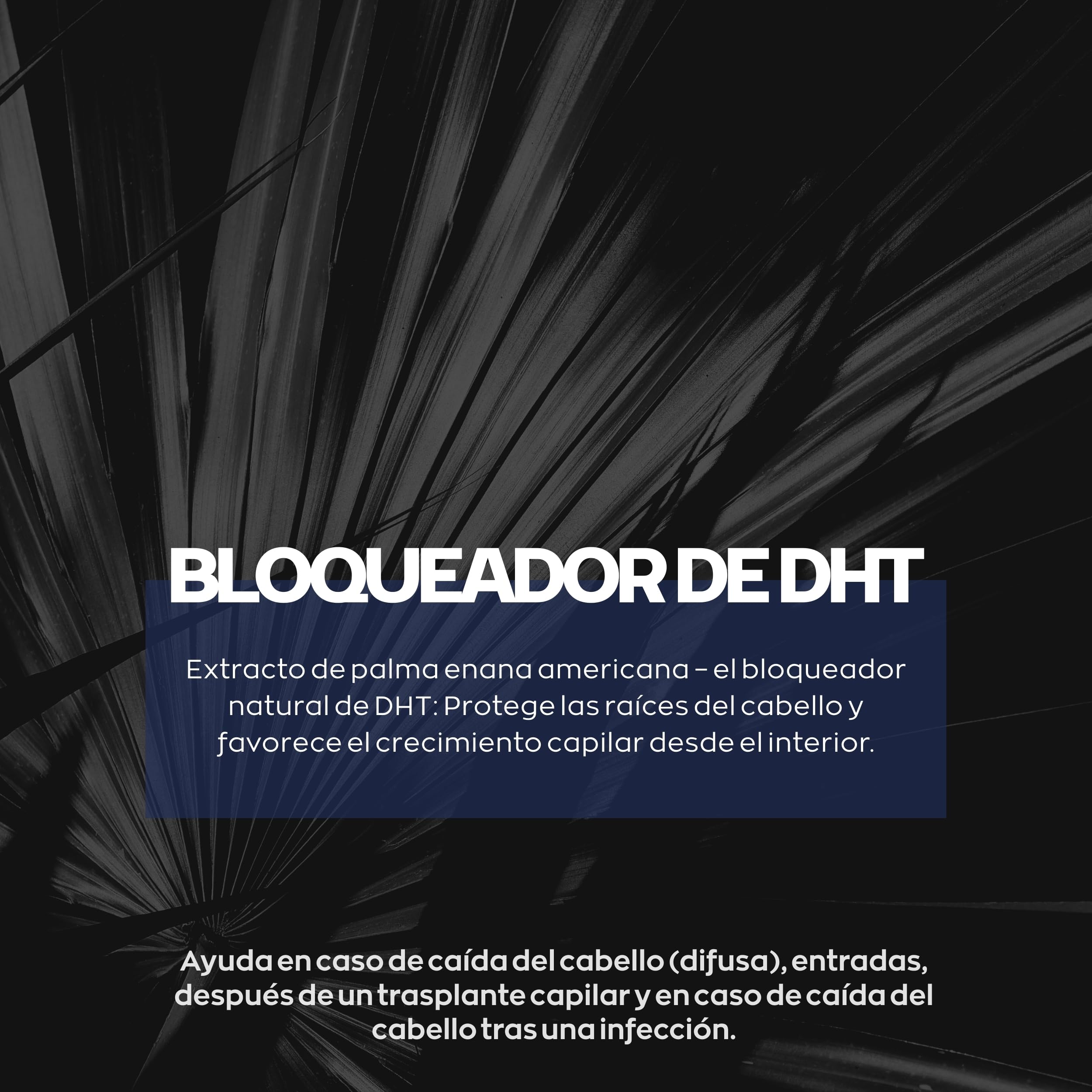Anticaída del cabello para hombres XPECIA, bloquea la DHT, fórmula crecimiento, 180 pastillas