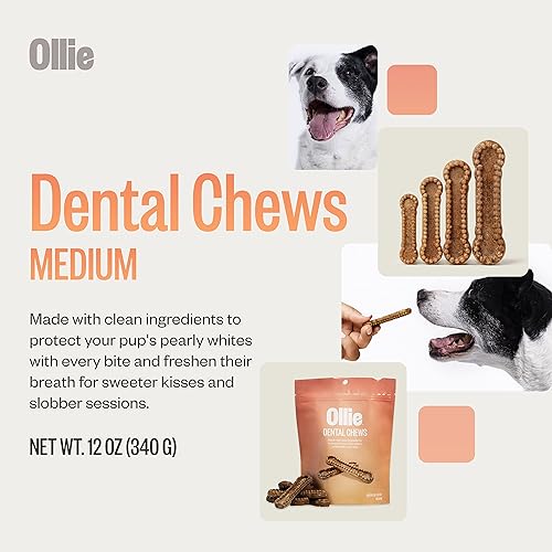Miniatura 3 de Ollie Masticables dentales para perros medianos, golosinas para el aliento de perro, golosinas de limpieza de dientes de perro, palitos dentales