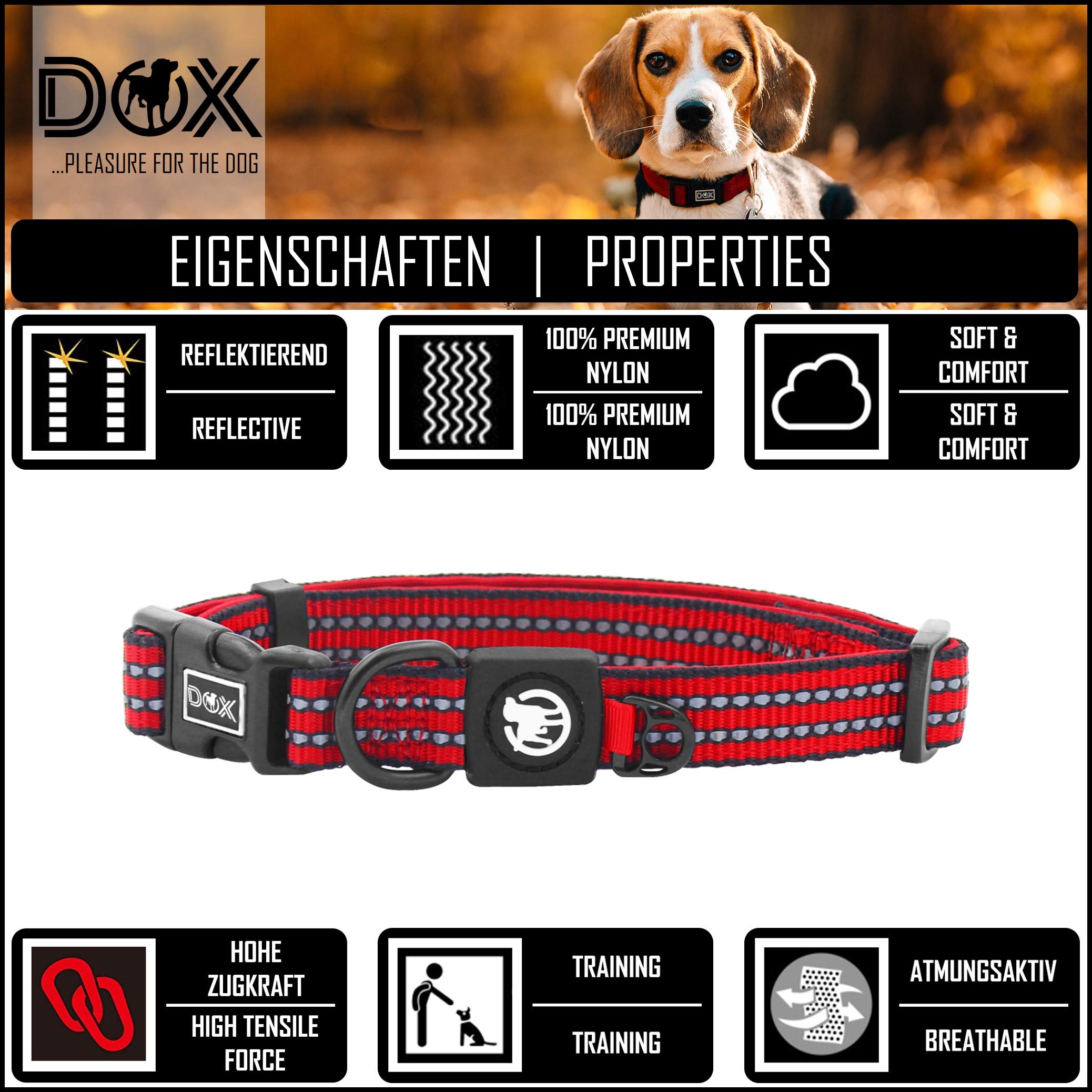 Reflektierendes Hundehalsband & Leine Set – Für Mittelgroße Hunde, Nylon, Verstellbar, Cyanblau