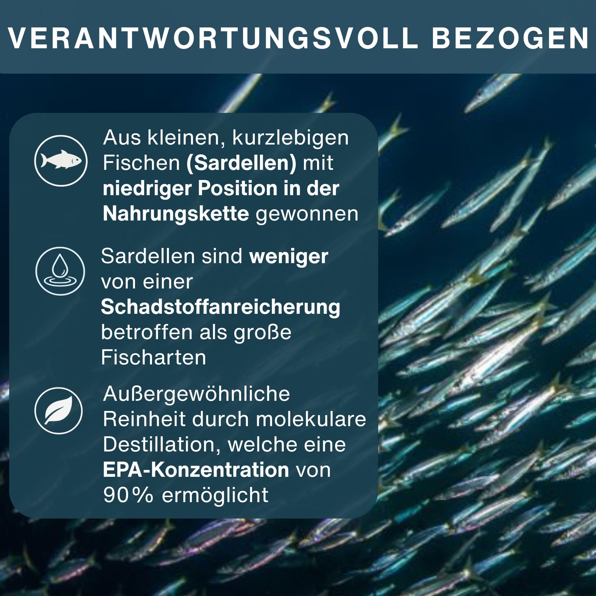 Igennus Pharmepa Restore, 1000mg reines EPA, IFOS-zertifiziert | Omega-3 rTG Fischöl, 60 Weichkapseln, 90%-ige Konzentration, dreifache Stärke, aus nachhaltigem Wildfang, Zitrusgeschmack