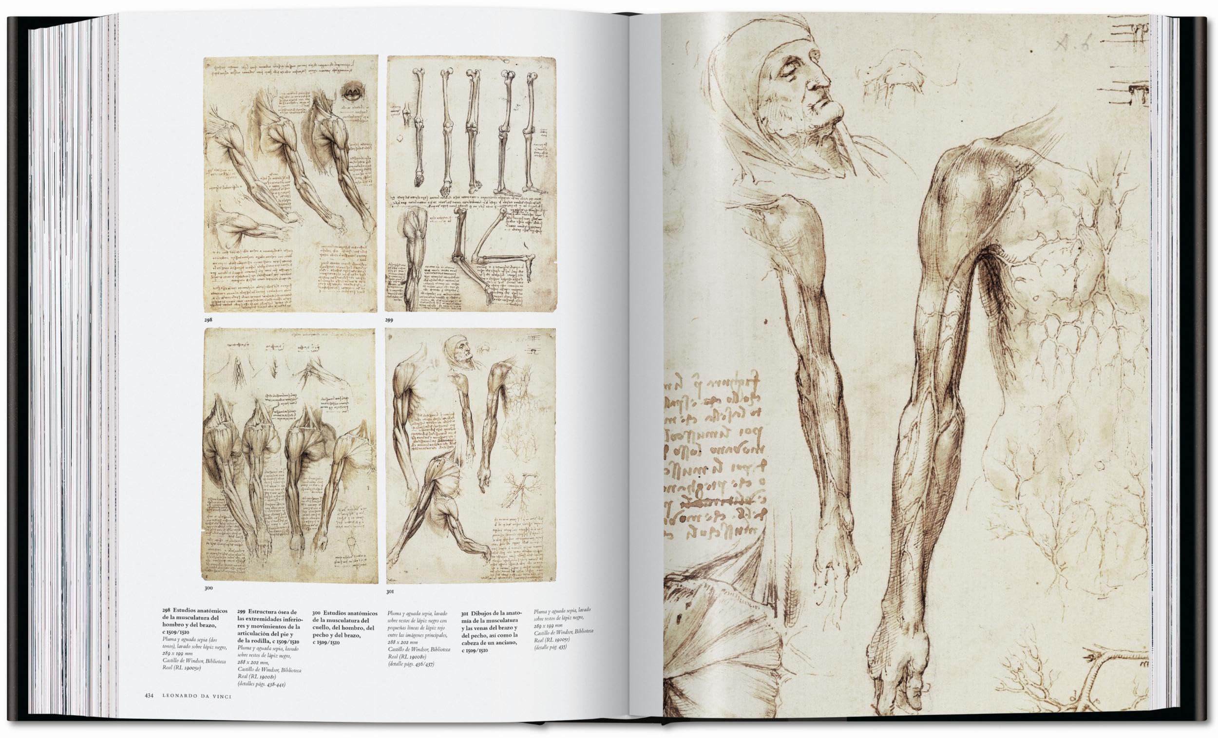 Leonardo: Obra pictórica completa y obra gráfica