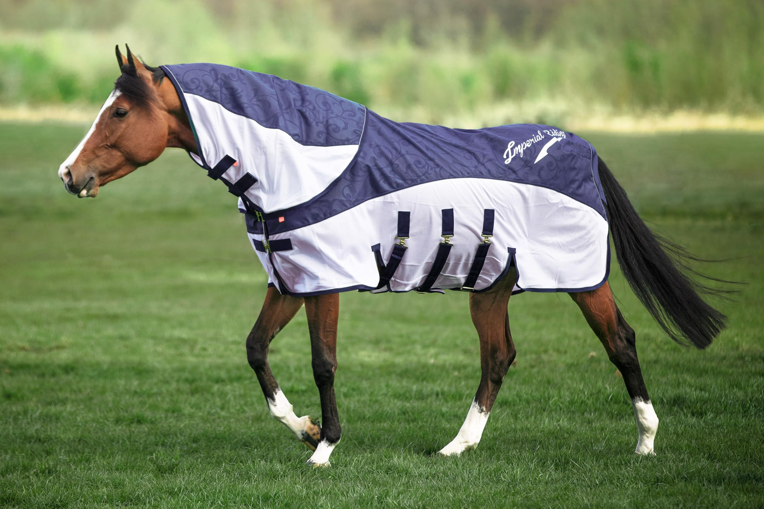 Imperial Riding Regen- & Fliegendecke Super-Dry 2-in-1-Decke ohne Halsteil, wasserabweisenden Deckschicht, Fliegenschutz durch atmungsaktives Mesh-Material, inkl. Bauchklappe, Navy, 145