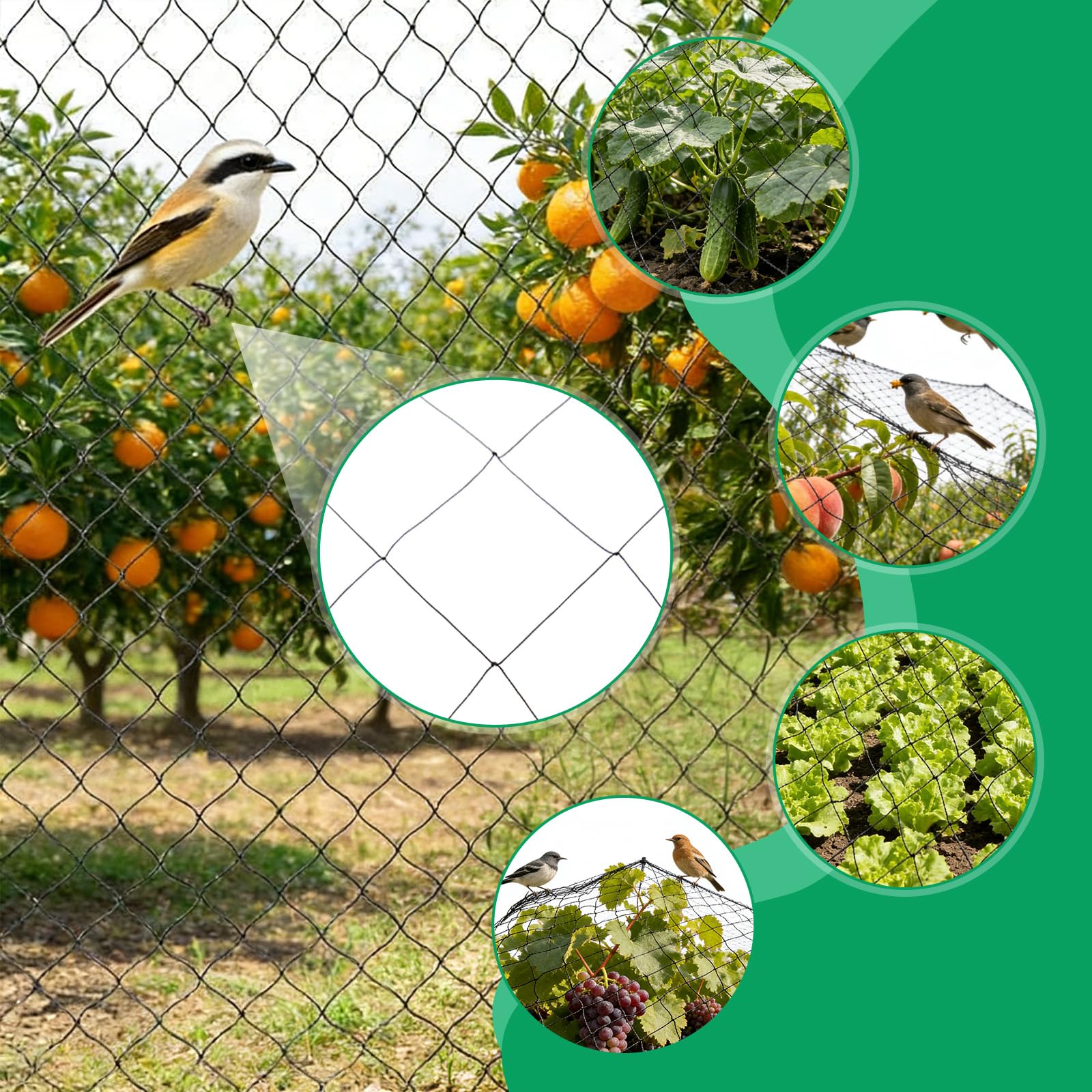 30x15m Rete Anti Uccelli, Rete Anti Piccioni, Maglia 5x5cm Reti Antiuccelli da Frutto, Protezione per Orto e Giardino, Antigrandine Riutilizzabile, Resistente ai Raggi UV, per Balcone, Pollaio