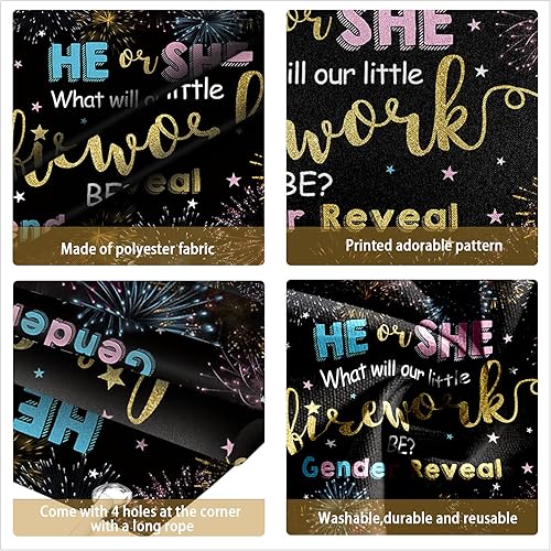 Miniatura 2 de Cartel de revelación de género del 4 de julio, Día de la Independencia, Él o Ella, azul o rosa, para niños o niñas, telón de fondo para fiesta de