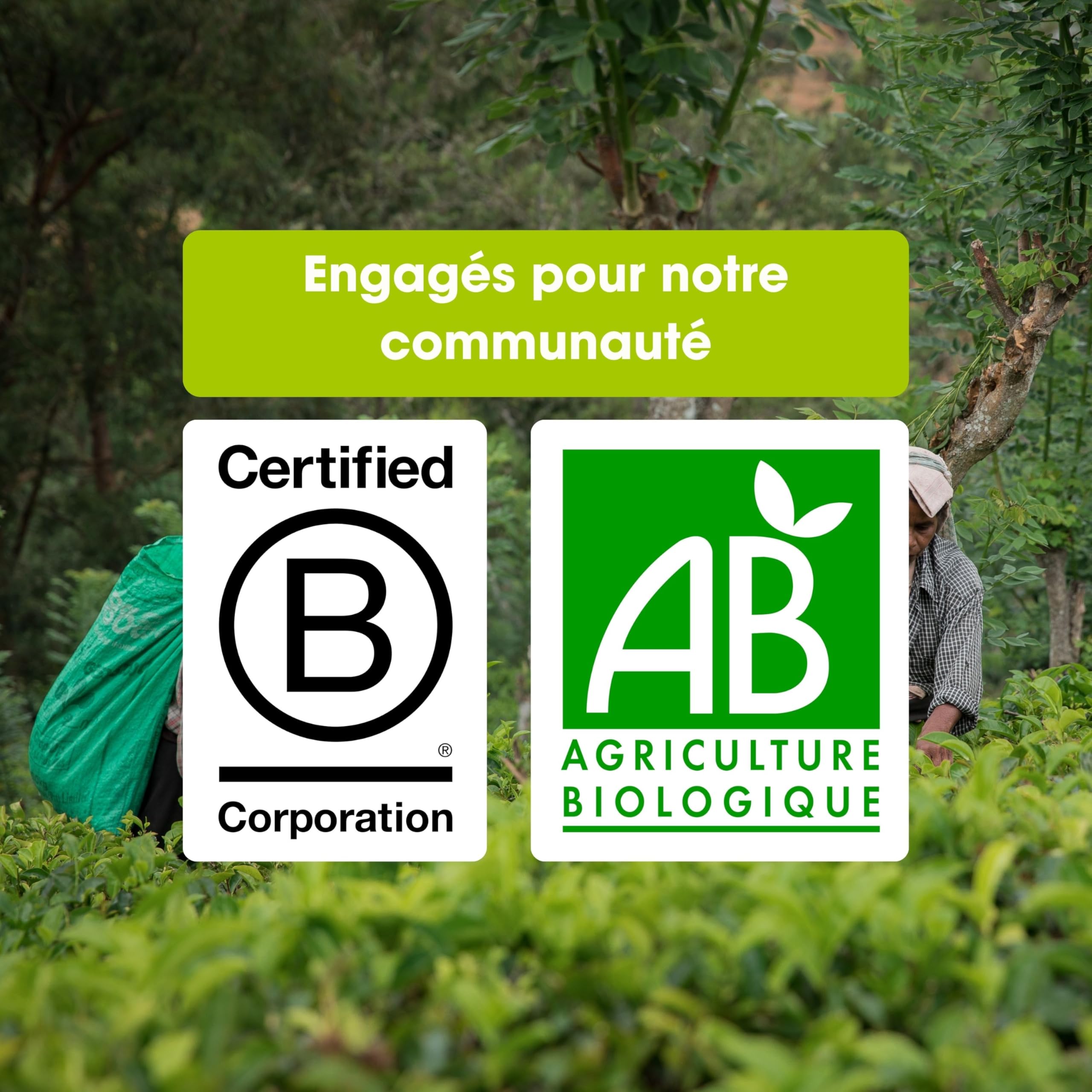 English Tea Shop - Calendrier de l'Avent Thés & Infusions bio Triangle rouge - 25 sachets de thé et infusions à déguster avant Noël - Idée cadeau Noël femme ou homme