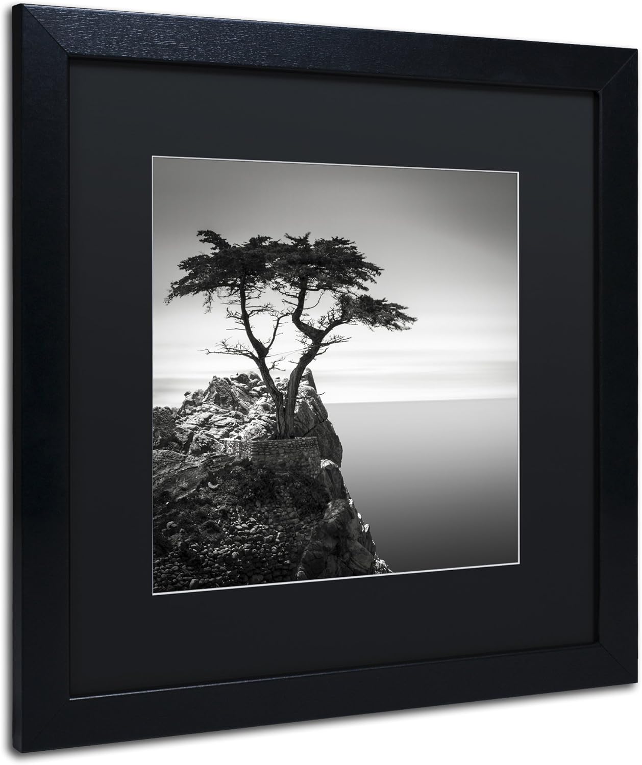 Framed Wall Art - Dave MacVicar 'The Lone Cypress' Wall Decor with Matted Frame by Trademark Fine Art