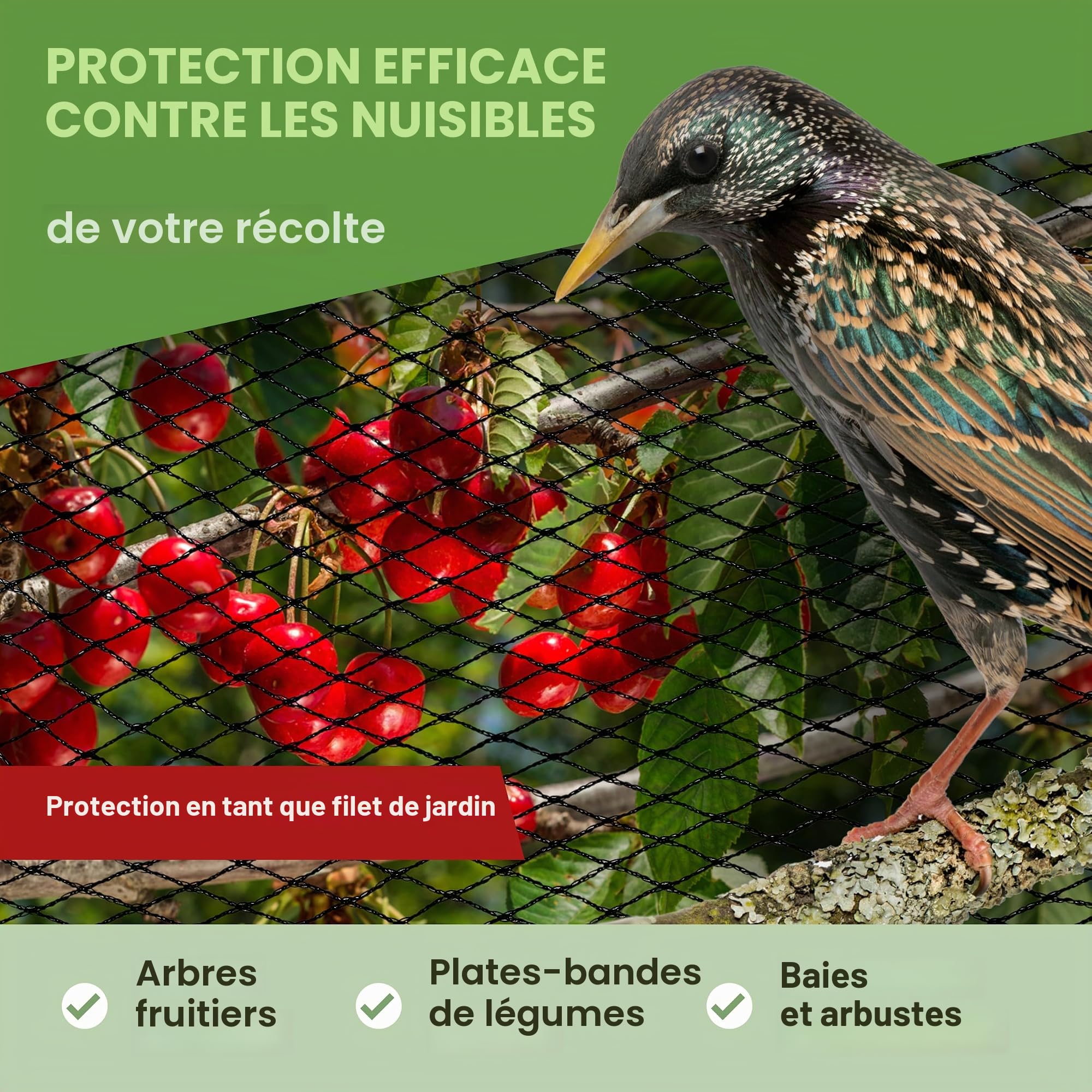 TTL Garden - Filet de protection contre les oiseaux - 15 x 15 m - Noir - 30 g/m² - 12 x 12 mm - Maille fine - En polyéthylène haute densité - Filet de protection pour arbres fruitiers - Filet