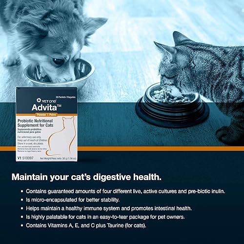 Miniatura 4 de VetOne Advita - Suplemento nutricional probiótico en polvo para gatos, 30 paquetes (0.04 oz)