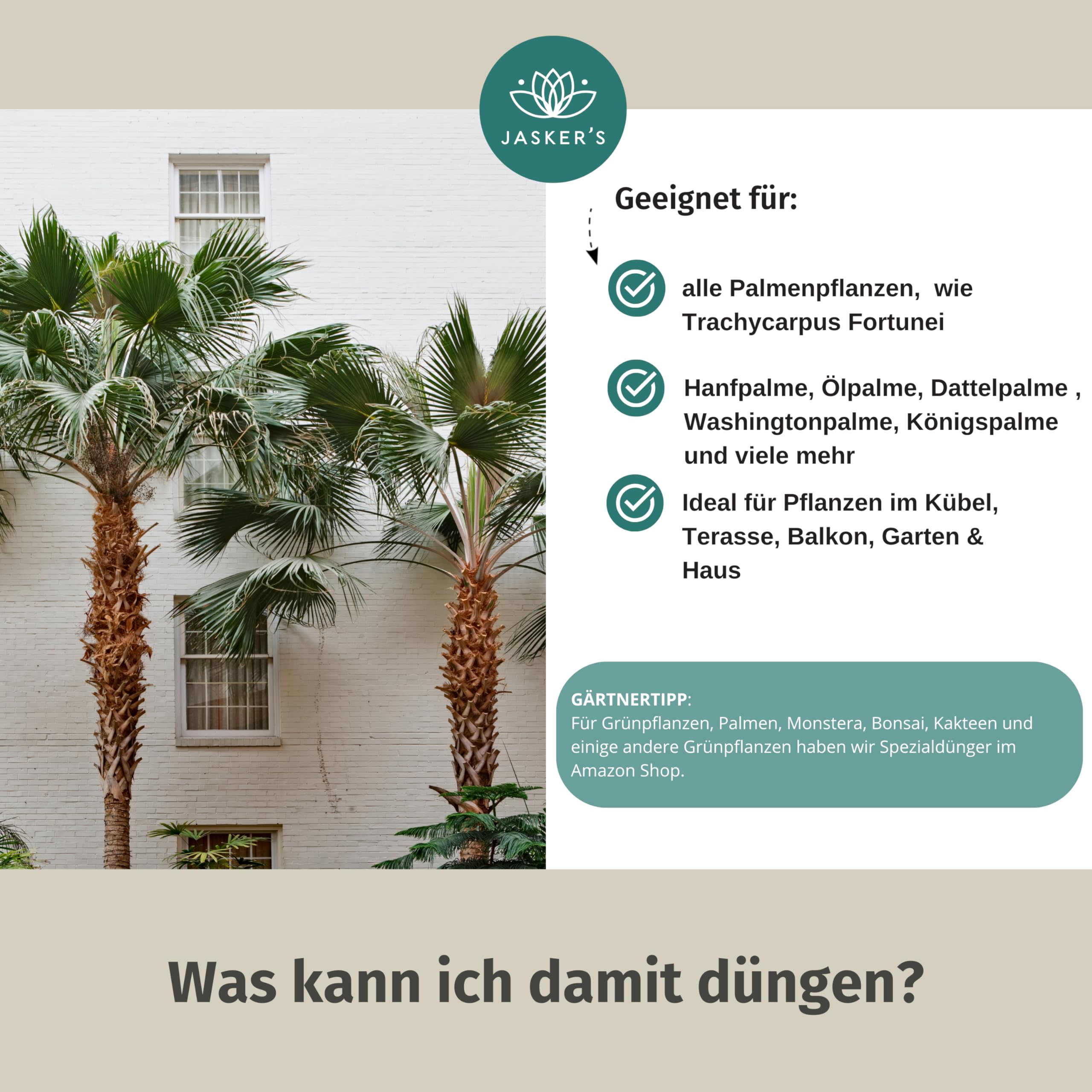 JASKER'S Palmendünger flüssig 10 L - 100% Schnelldünger - Flüssigdünger für Palmen & Hanfpalmen im Freiland & Haus - Spezialdünger - Dünger für Palmen - Grünpflanzen und Palmendünger