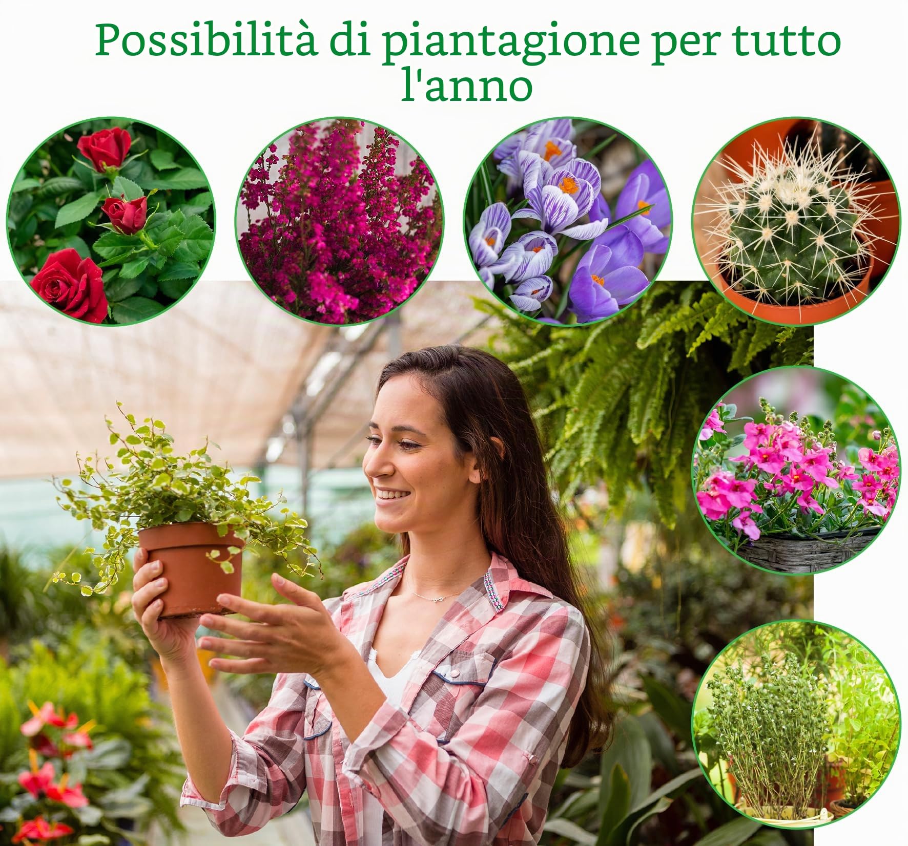 MC-Trend 12 fioriere per pallet europeo, fioriere da balcone in plastica, motivo albero (12 pezzi)