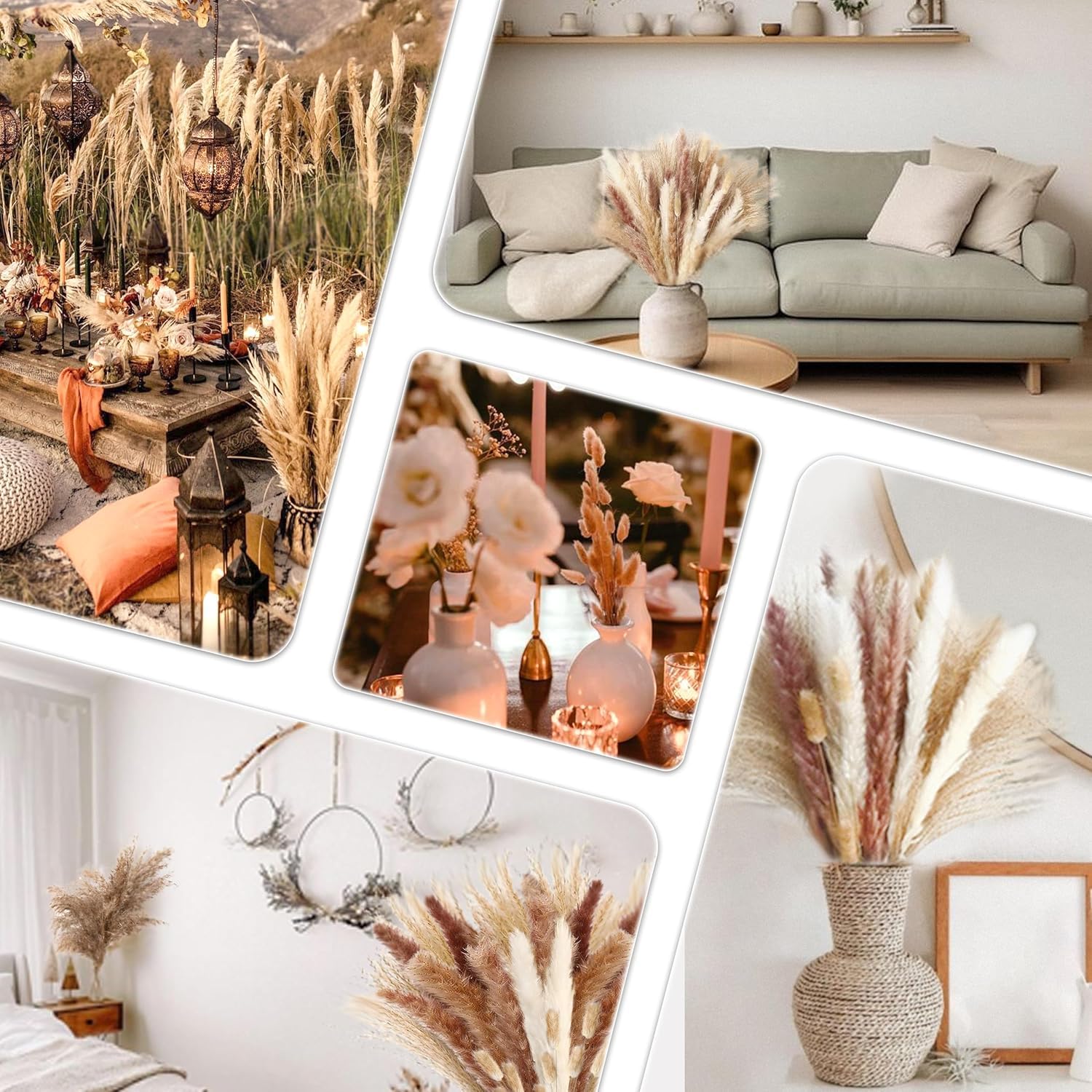 Qlect Home Decor 100 Pcs Set 17inch Natural Dried Pampas Grass,Real Rabbit Bunny Tail,Reed Pampas,Boho Bouquet,Artificial Flowers Decor for Table Vase Home Decoration. (100 Pcs Dried Flower Set) 4