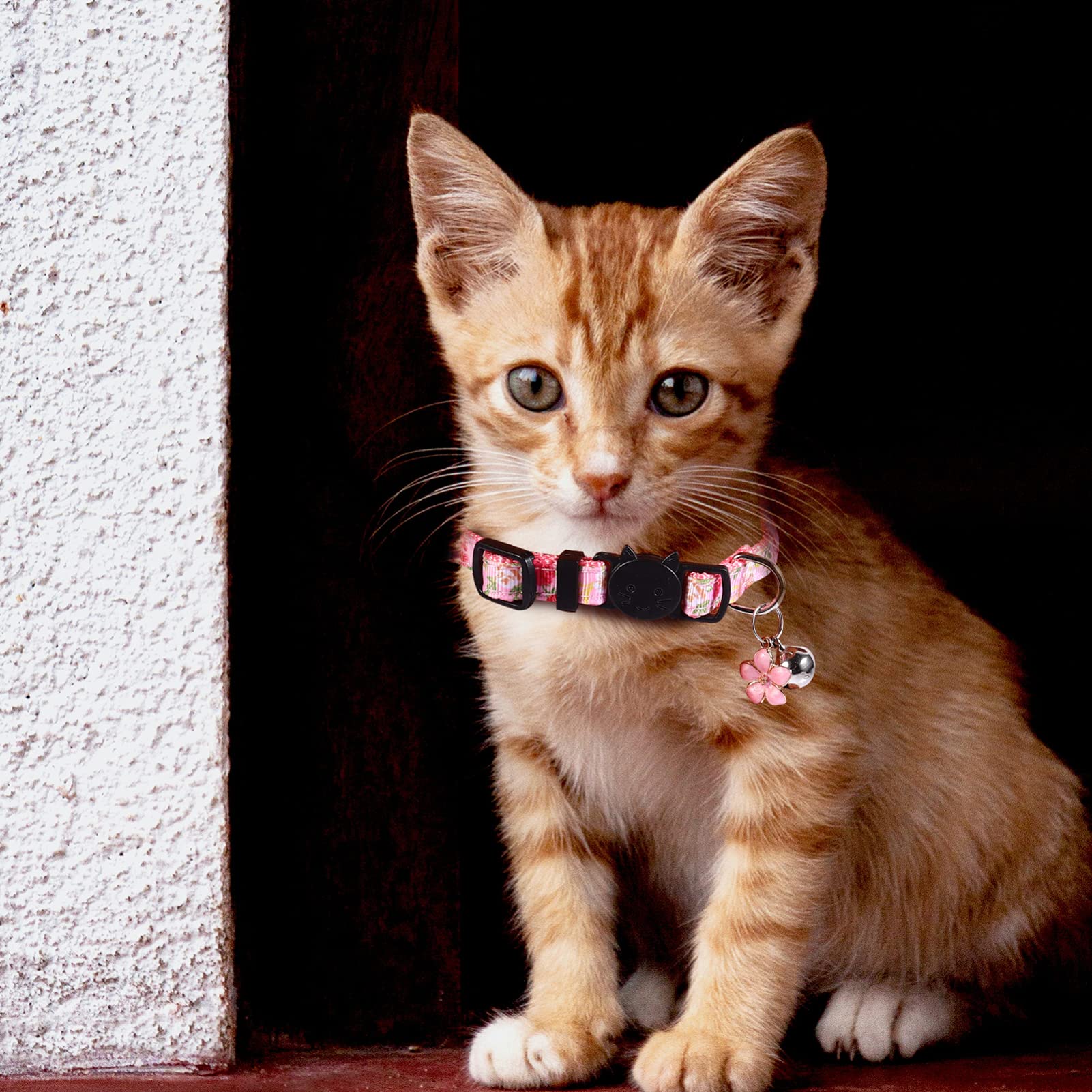 Toddmomy 12pièces Collier pour Chat Floral Accessoire Mignon pour Chaton avec Motif De Fleurs pour Photos Fêtes Et Occasions Spéciales