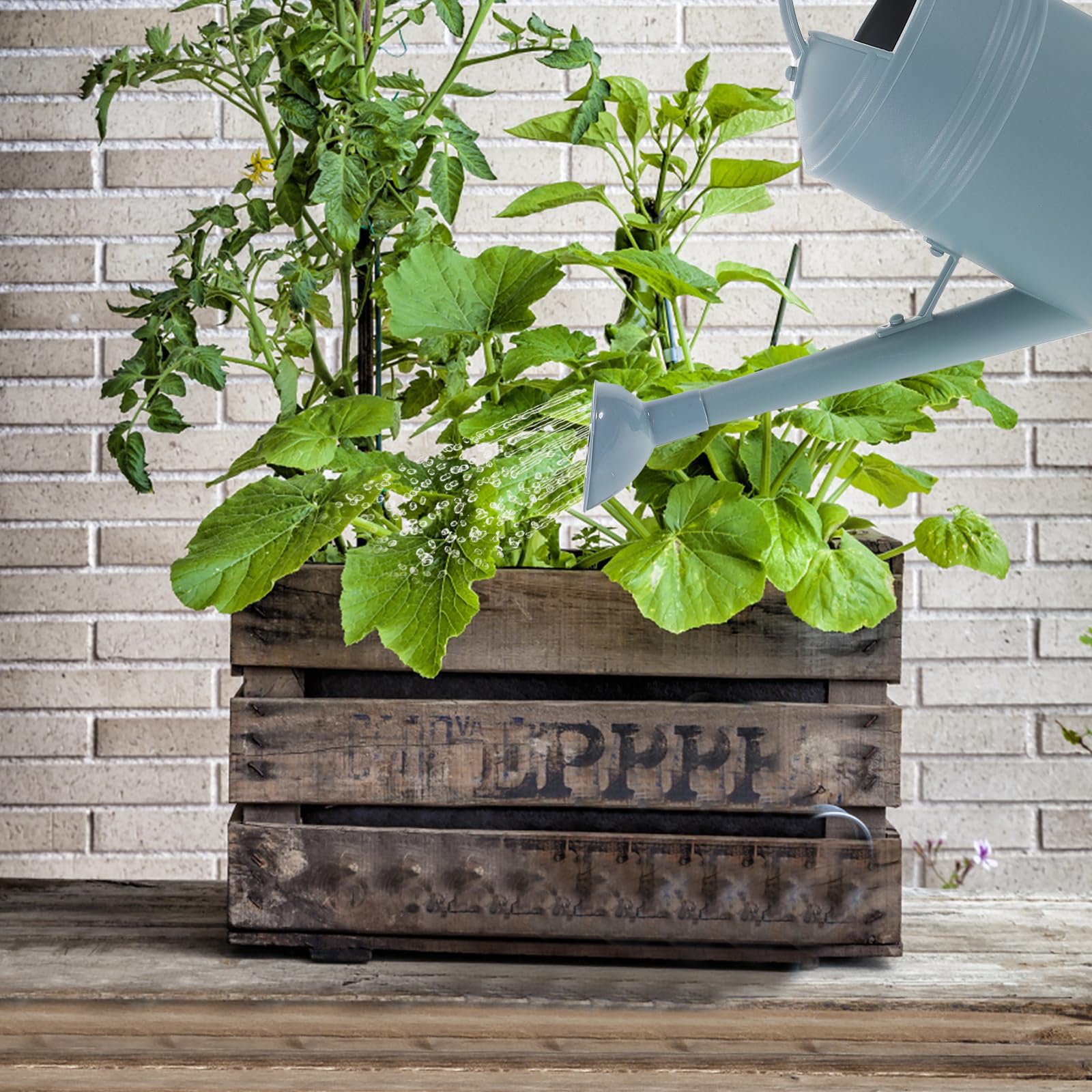 TOYANDONA Regadera Material Plástico y Acero Inoxidable Diseño Delicado de 1.8l Boquilla Larga y Color Azul para Plantas para Jardinería Hogar