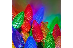 Wintergreen Lighting C9 Multicolor Christmas Lights Set of 25