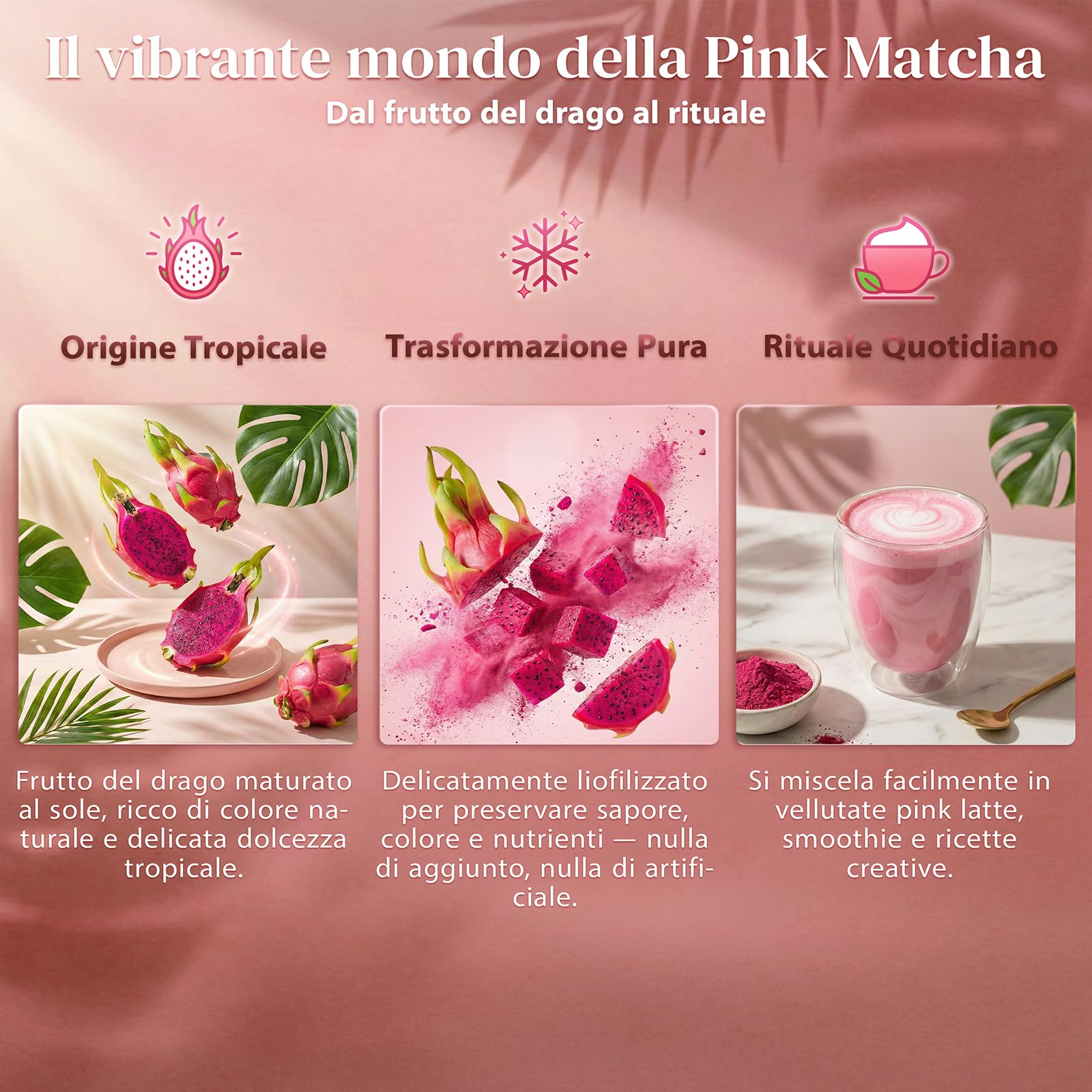 Mary Rose Pink Matcha 100g – Polvere di frutto del drago, polvere di frutto del drago 100% naturale