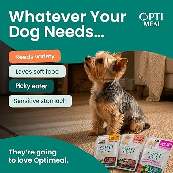 Wet Dog Food Variety Pack for Small Dogs, Grain Free Tender Morsels, 12 Pck
