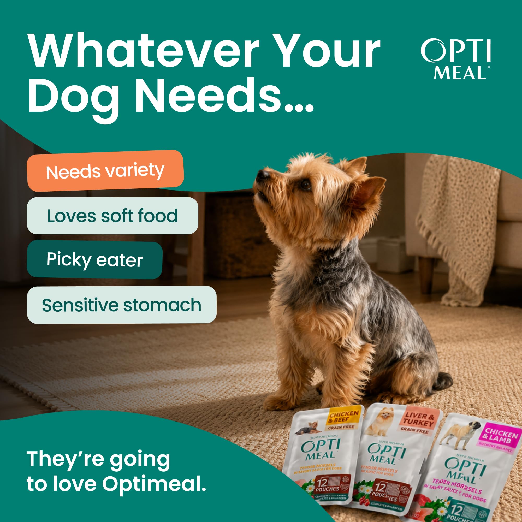 Optimeal Nassfutter für Hunde kleiner Rassen, abwechslungsreiches Paket - Getreidefreie Rezeptur, reich an Gelatine, mit natürlichen Inhaltsstoffen für Hunde